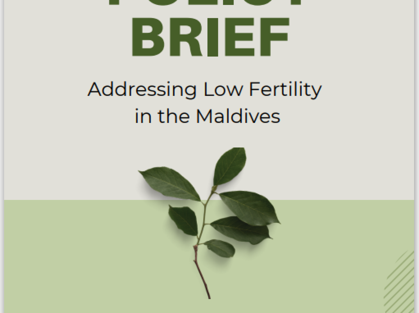 Policy Brief: Addressing Low Fertility in the Maldives