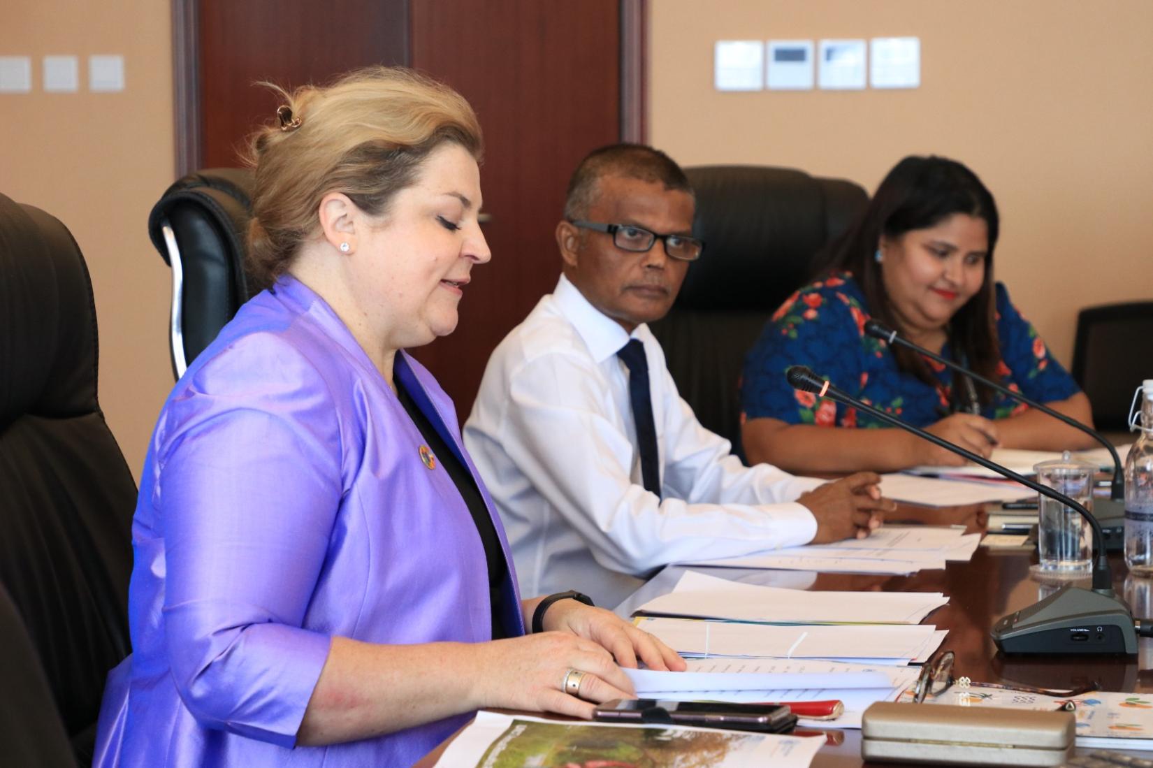 UNSDCF Joint Steering Committee Meeting, UN Resident Coordinator Ms. Catherine Haswee
