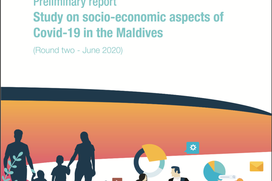 Preliminary Report: Study On Socio-Economic Aspects Of COVID-19 In The ...