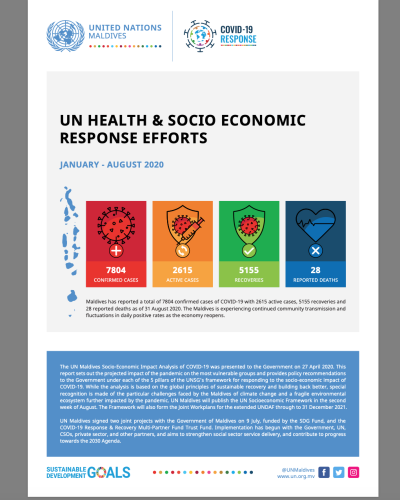UN Health & Socio Economic Response Efforts